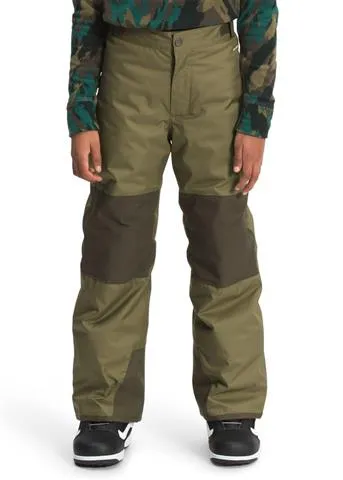 The North Face Boys Freedom Insulated Pants | WinterKids